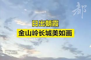 半岛电竞下载官网安卓截图4